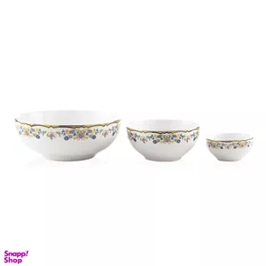 سرویس چینی 13 پارچه چینی زرین ایران مدل ایتالیا اف طرح گلستان درجه عالی