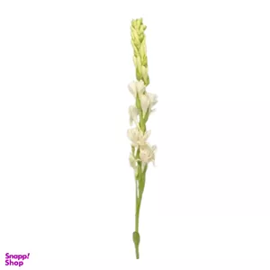 شاخه گل طبیعی مریم کد 10