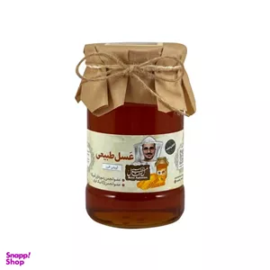 عسل آویشن طبیعی البرز رضا وزن 950 گرم