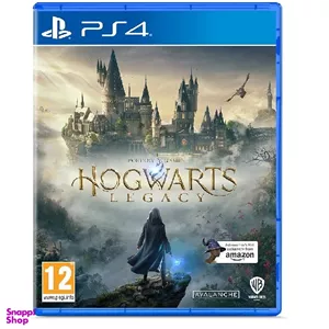 بازی ویدیویی Hogwarts Legacy کد 95 مناسب کنسول بازی سونی PS4