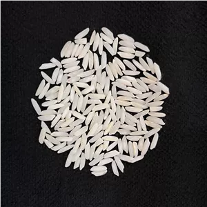 برنج طارم هاشمی آستانه اشرفیه | دو سورتینگ وکیوم زرکام مهر پارس