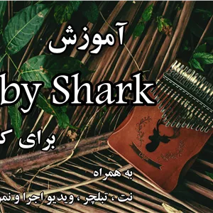 آموزش بیبی شارک برای کالیمبا