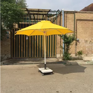 چتر باغی