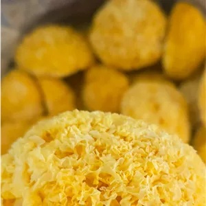 قارچ ترملا خشک شده