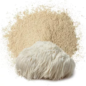عصاره پودری قارچ یال شیر