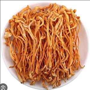 قارچ کوردیسپس میلیتاریز نیم کیلویی (عمده) cordyceps militaris