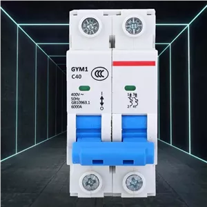 قطع کننده مدار 2P AC 400V MCB GYM1-DZ47S IP20 با حفاظت از اضافه بار و اتصال کوتاه (63 آمپر)