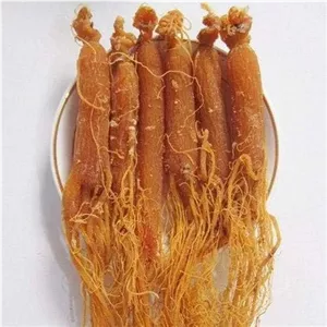 داروی گیاهی لقمان حکیم جینسینگ قرمز کره ای - 6 و 20 ساله (خام 100 گرم 20 ساله)