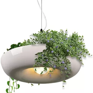 چراغ آویز گیاهی، چراغ سقفی گیاهی سبز برای اتاق خواب، چراغ آویز مدرن برای فضای داخلی و خارجی، ورودی، اتاق نشیمن، دفتر، اتاق خواب، آشپزخانه، عروسی