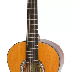 گیتار کلاسیک Epiphone PRO-1 Classic AN