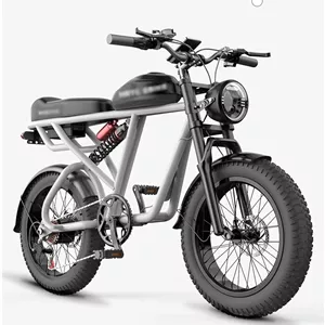 دوچرخه های هیبریدی 20 اینچی ELECTRAL FAR FAR PIKE CLASSIC RETRO TWE WELLE ELECTRY POWER MOTO EBIKE DUBLE SHOCK موتور 1500W موتور دوچرخه برقی (48v750w)