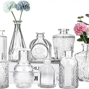 ست گلدان شیشه‌ای، ۱۲ عددی گلدان کوچک گل برای وسط میز، گلدان‌های ریز عمده، گلدان‌های شیشه‌ای مینیاتوری وینتج برای عروسی روستیک، تزئین میز خانه، چیدمان گل (شفاف، ۱۲ عددی)