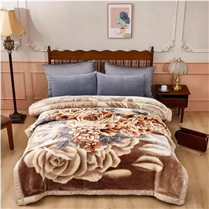 پتوی مینک کره‌ای LGYKUMEG، 150x200 سانتی‌متر، نرم و لطیف و گرم - پتوی راشل دو لایه برگشت‌پذیر برای تخت یک نفره (2.5 کیلوگرم)