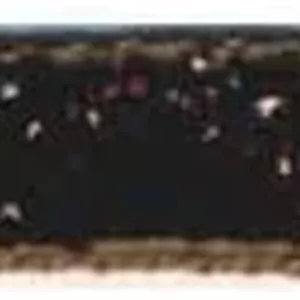 نوار مخمل استفانوئیس مدل Velours Reel طول 2 متر