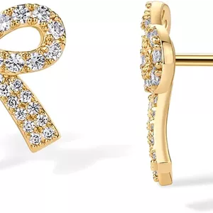 گوشواره های میخی پاپیونی روکش طلای 14 عیار PAVOI برای زنان - گوشواره های میخی ظریف و نگین دار زیرکونیا کوبیک درجه یک 