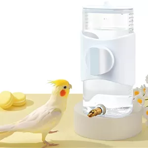 آبخوری پرنده AoMige مدل Bird ظرفیت 300 میلی‌لیتر