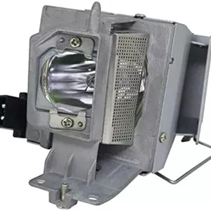 لامپ ویدئو پروژکتور اپتوما مدل BL-FU195B