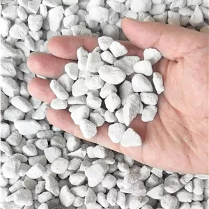 پرلیت باغبانی ارگانیک درجه حرفه ای ۱۰ کوارت (۱۰ کوارت، سایز بزرگ - پرلیت)