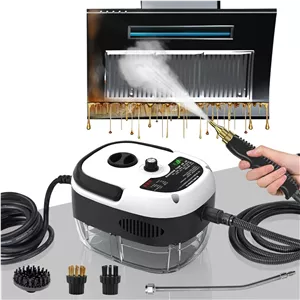 بخارشو دستی مدل 2500W توان 2500 وات