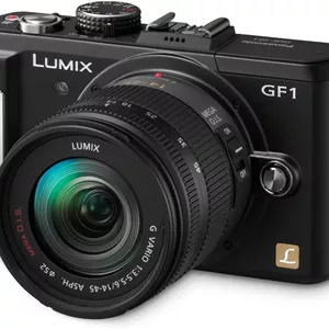 Panasonic Lumix DMC-GF1 12.1MP Micro Four-Thirds Interchangeable Lens Digital Camera with 14-45mm Lens