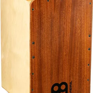 کاخن ماینل با سیم های داخلی برای افکت اسنر - صفحه جلویی ماهون، بدنه توس بالتیک، مدل Woodcraft Professional (WCP100MH)
