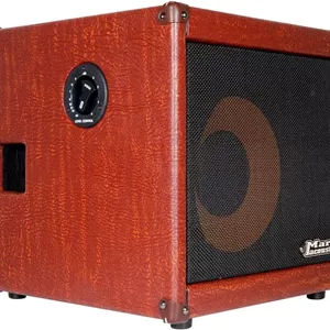 آمپلی فایر آکوستیک DV Mark AC 101 H – کامبو آکوستیک – 1 x 10 اینچ – 250 وات