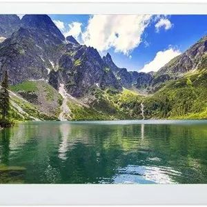 قاب عکس دیجیتال 12.5 اینچی HD IPS با کیفیت 1080P، آلبوم الکترونیکی ویدئویی، پخش کننده تبلیغاتی نسخه مستقل، نمایشگر عکس الکترونیکی (صفحه نمایش سفید IPS)