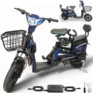 موتور برقی تحویل کالا WINDHORSE M2 با موتور 400 وات، باتری 48 ولت 12 آمپر ساعت، حداکثر سرعت 55 کیلومتر در ساعت، صندلی دو نفره، لاستیک های 16 اینچی، سبد خرید جلویی، سیستم قفل و باز کردن قفل از راه دور، فریم آلیاژ کربن