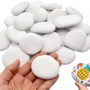 ۱۲ عدد سنگ نقاشی کوچک برای کاردستی، سنگ های رودخانه ای صاف و صیقلی ۱.۲ تا ۲.۰ اینچ برای هنر DIY، نقاشی اکریلیک، سنگ های مهربانی، تزئین سنگ، دستچین شده برای کودکان، بزرگسالان و پروژه های کاردستی (سفید)