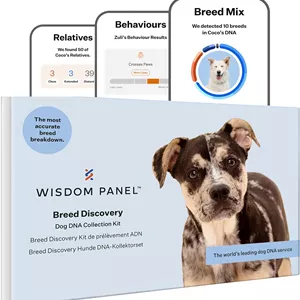 کیت تشخیص نژاد سگ Wisdom Panel 2.0