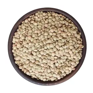 عدس ریز 1 کیلو گرم