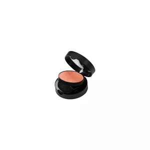 رژگونه نوت – لومینوس سیلک رنگ 08 | Note Luminous Silk Compact Blusher