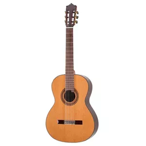 گیتار Martinez MC‑58C