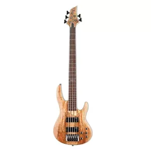 گیتار بیس ESP LTD B-205 Spalted Maple - Natural Satin
