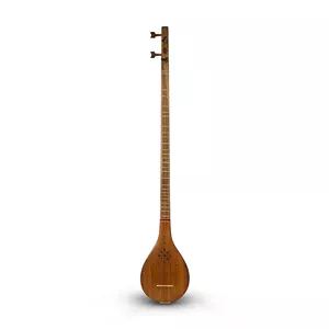 سه تار مفاخری کاسه چنار
