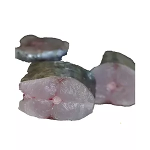 ماهی شیر منجمد فیله شده 1 کیلوگرم