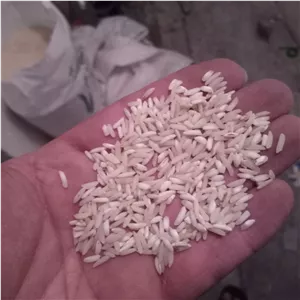 برنج‌ هاشمی معطر گیلان خوش پخت وزن ۵ کیلوگرم