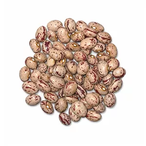 لوبیا چیتی گرد هیدج 450 گرم زنگان
