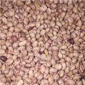 لوبیا چیتی درجه یک تبریز - 3 کیلوگرم