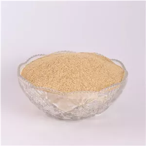 پودر سیر یک کیلوگرم