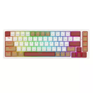 کیبورد ردراگون مدل Rammus K677 WLR Pro | گارانتی 18 ماهه تخت جمشید