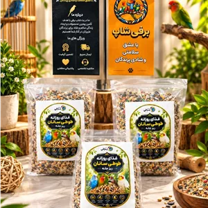 غذای روزانه طوطی‌سانان همراه با پودر پروبیوتیک و سنگ موزیکلسیم