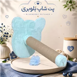 اسکرچر گربه لیلیت پت مدل تدی (رنگ رندوم میباشد)