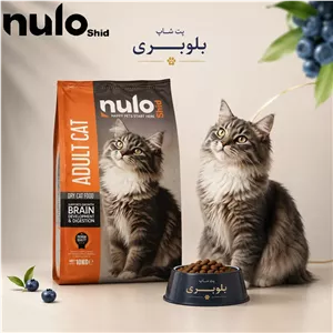 غذای خشک گربه بالغ نولوشید 10 کیلوگرم اورجینال