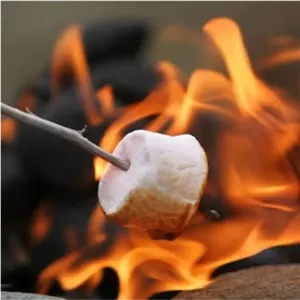 مارشملو جامبو BBQ ارکو – 400 گرم برای کباب و باربیکیو