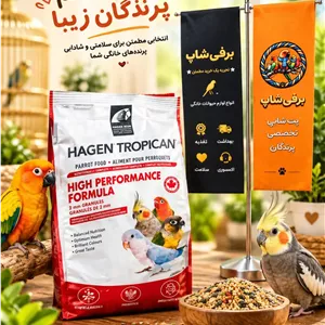 پلیت تشویقی طوطی سانان هاگن