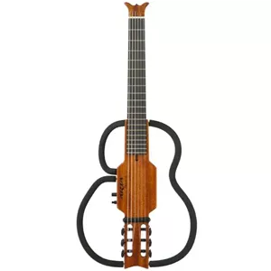 گیتار ARIA AS-101C MH