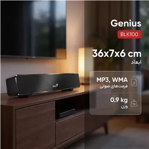 ساندبار جنیوس مدل BLK100، پشتیبانی از فرمت‌های صوتی MP3 و WMA