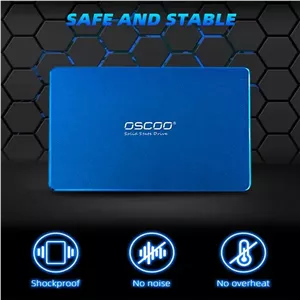 اس اس دی اینترنال اوسکو مدل BLUE 001 ظرفیت 512 گیگابایت