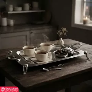 سینی استیل مستطیل پایه دار سافینوکس سایز متوسط